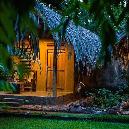 우다왈라웨 Private Organic House B&B 외부 사진