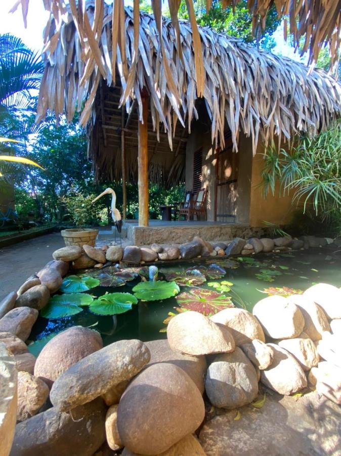 우다왈라웨 Private Organic House B&B 외부 사진