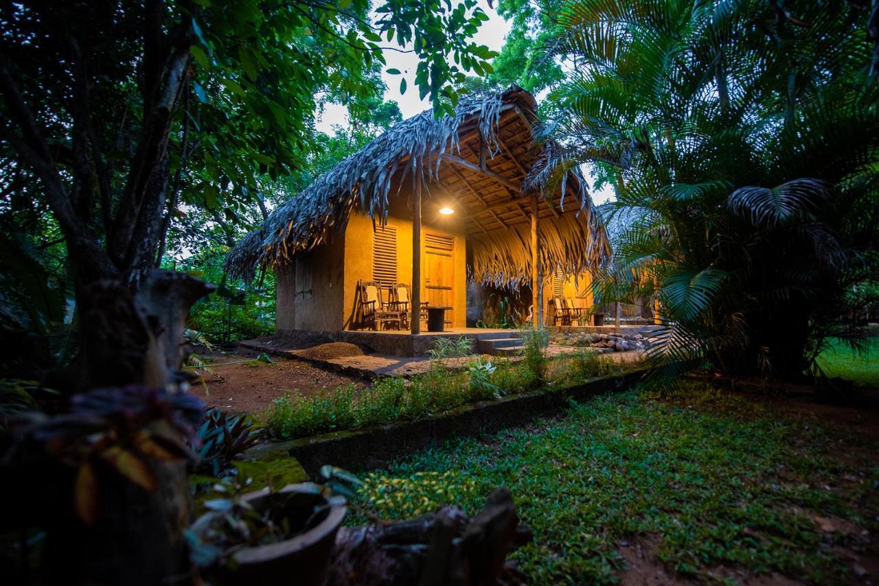 우다왈라웨 Private Organic House B&B 외부 사진